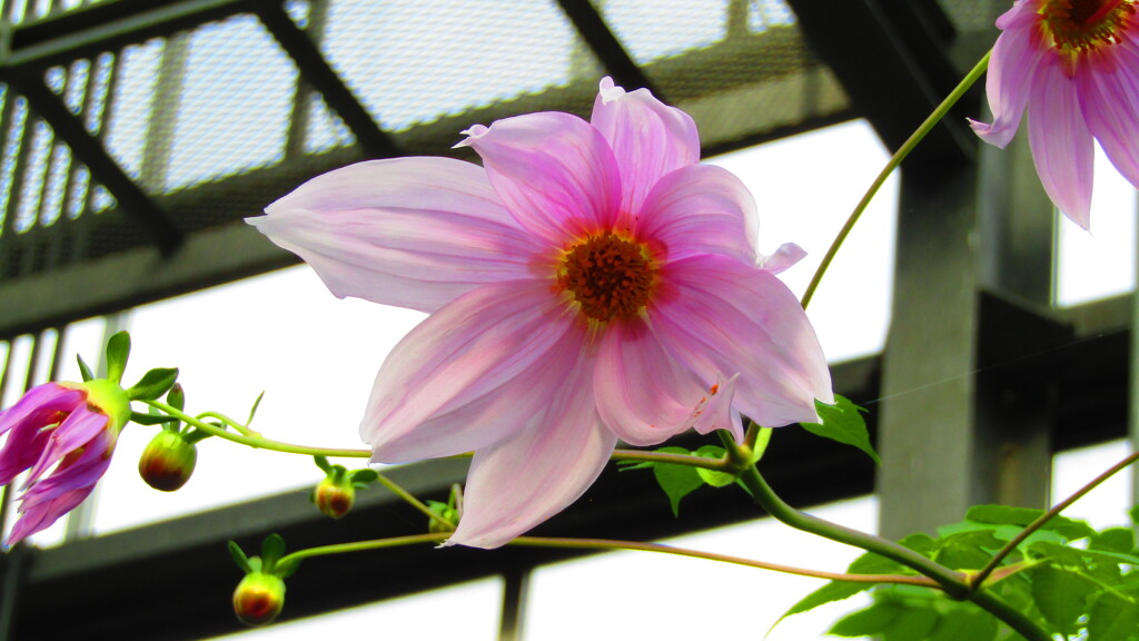 百合が原公園にて