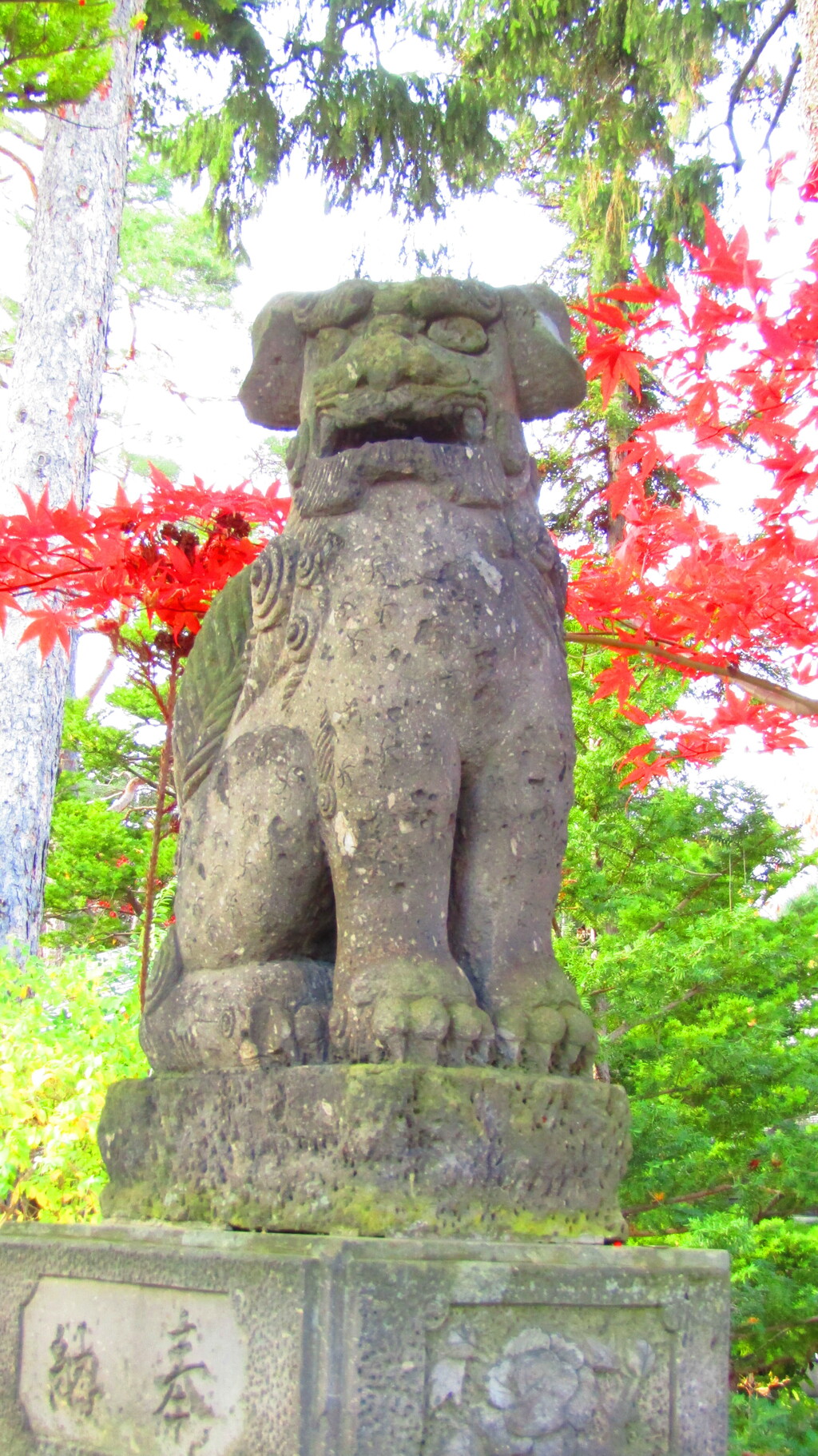 西野神社の狛犬