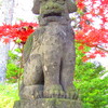 西野神社の狛犬