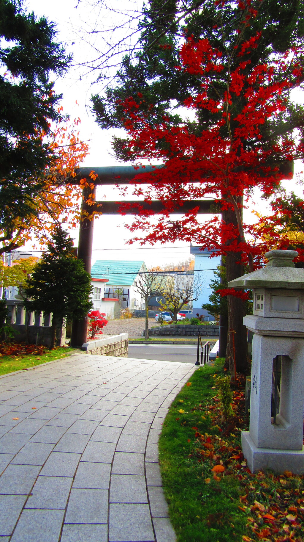 西野神社の鳥居