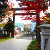 西野神社の鳥居