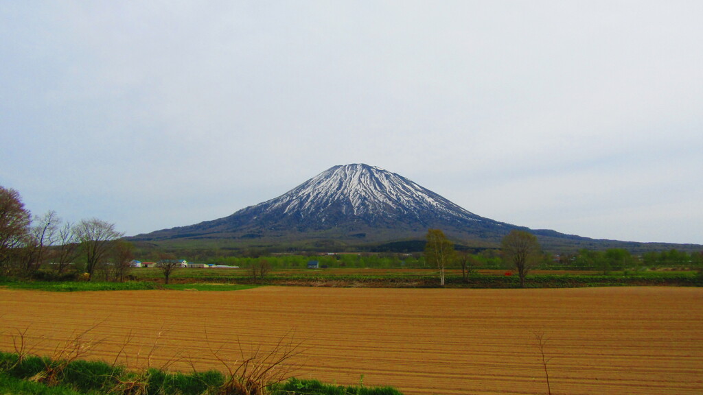 羊蹄山