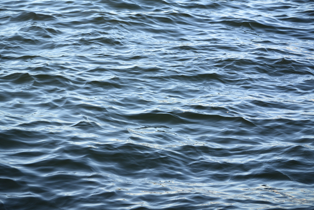 揺れる水面