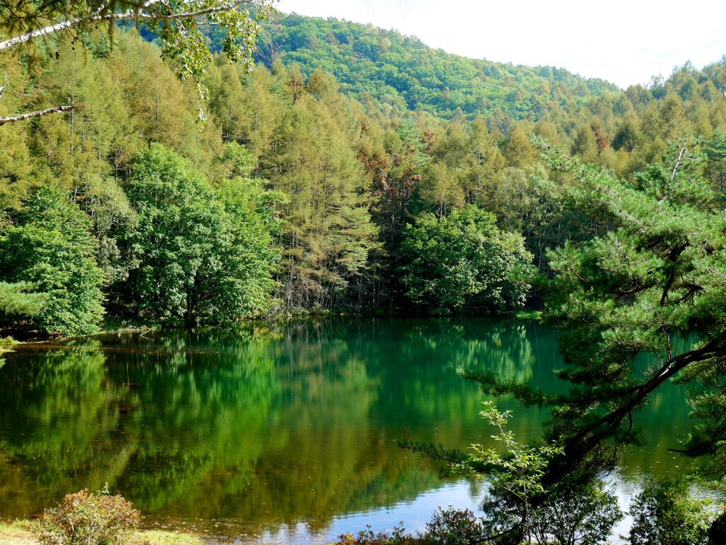 20191105_194420