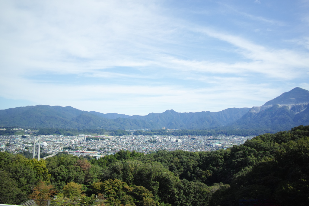 SDIM0229
