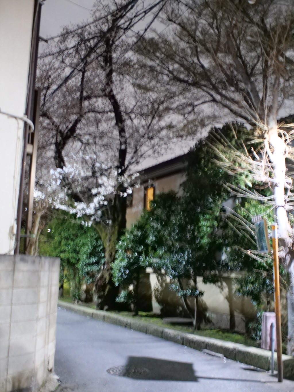 P1000790