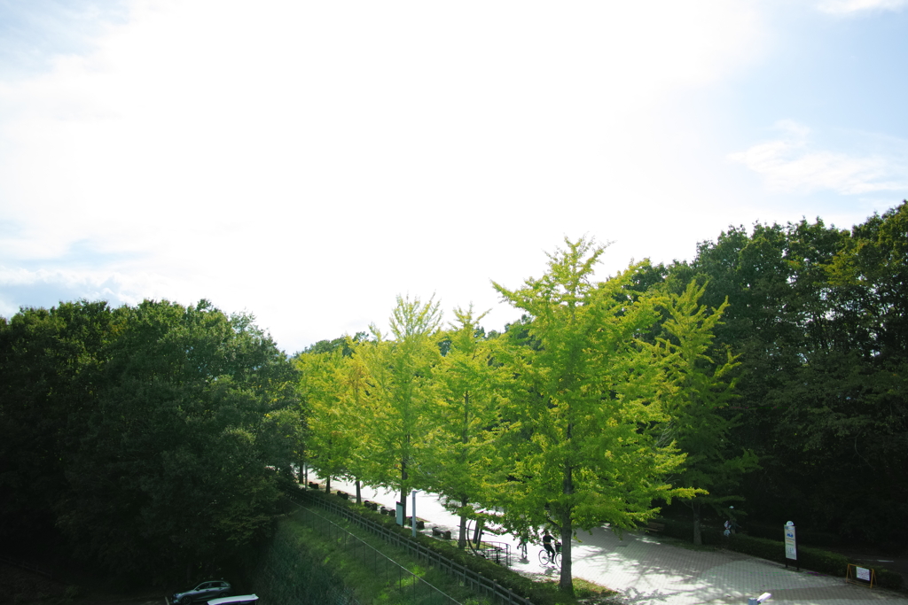 SDIM0223