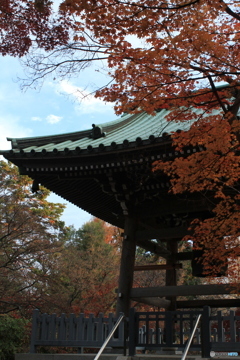 道場寺　曹洞宗