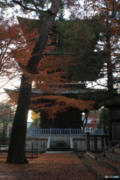 夕方時の道場寺　曹洞宗