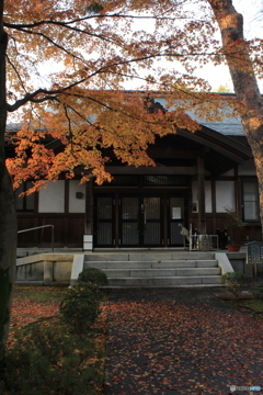 道場寺　曹洞宗