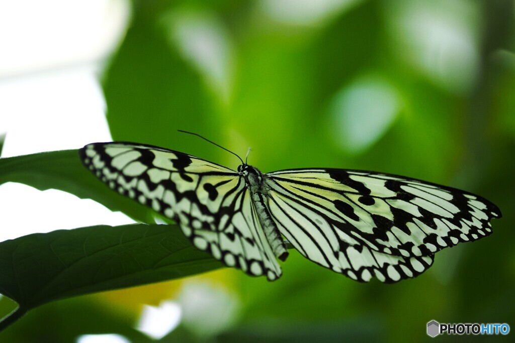 晩夏の生物園～④