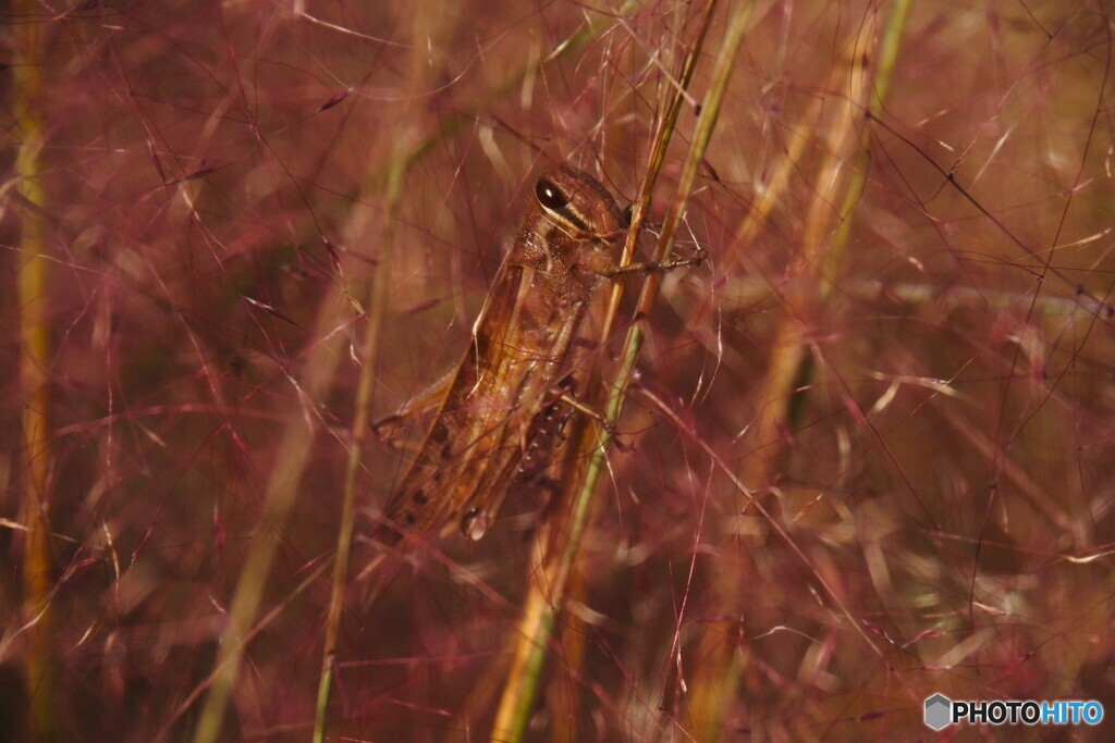 アンデルセン公園～xviii