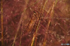 アンデルセン公園～xviii