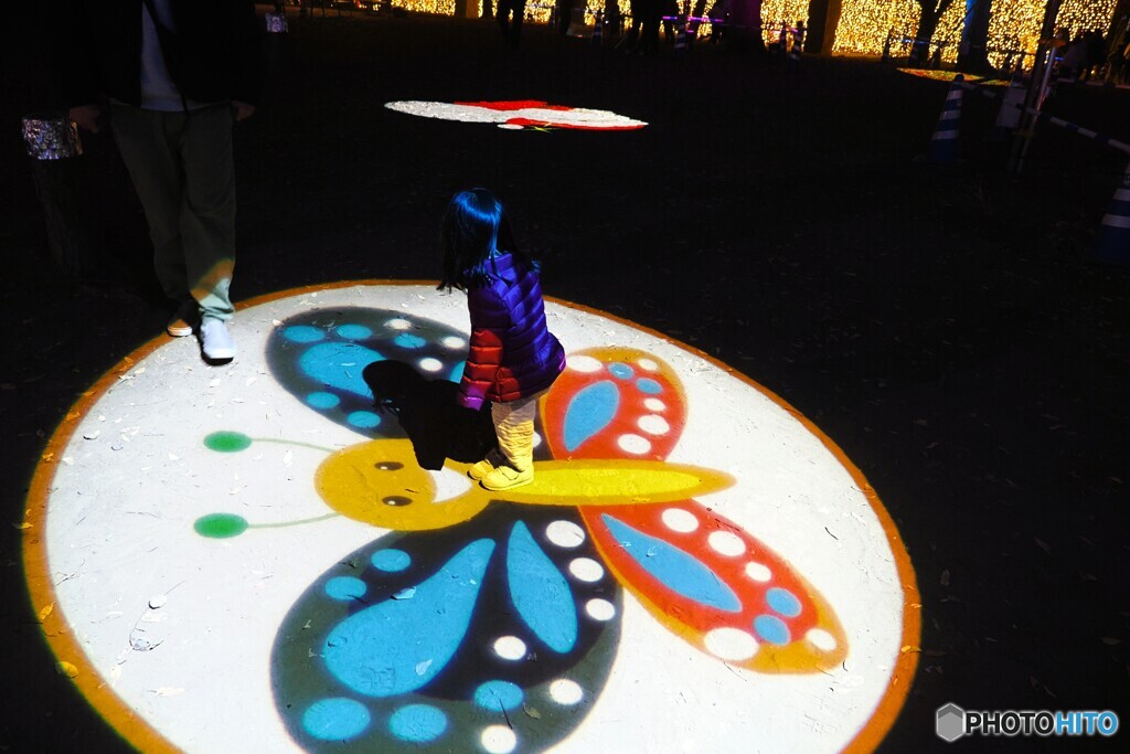 足立区（光の祭典）～③