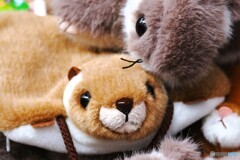 ムササビ