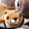 ムササビ