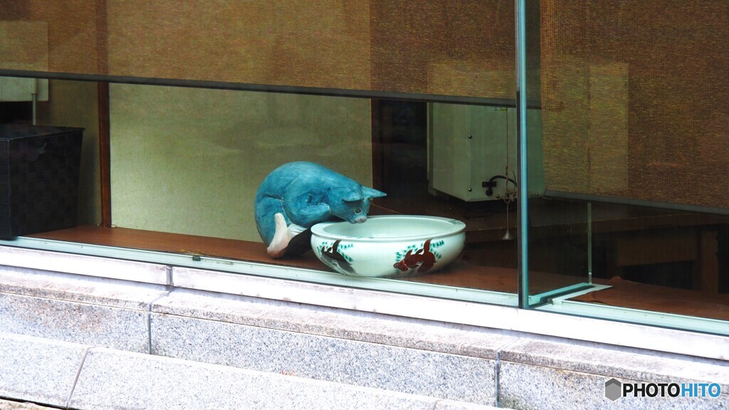 窓越し