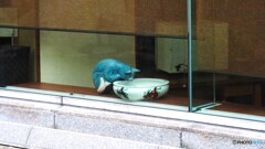 窓越し