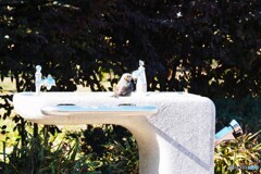 水分補給