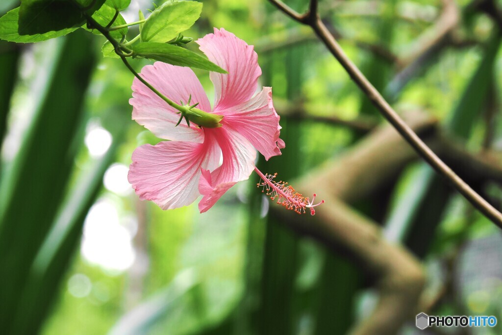 夏休み中の生物園～ⅴ