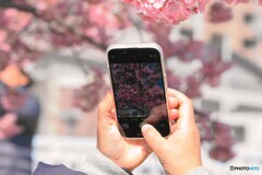 スマホ全盛期