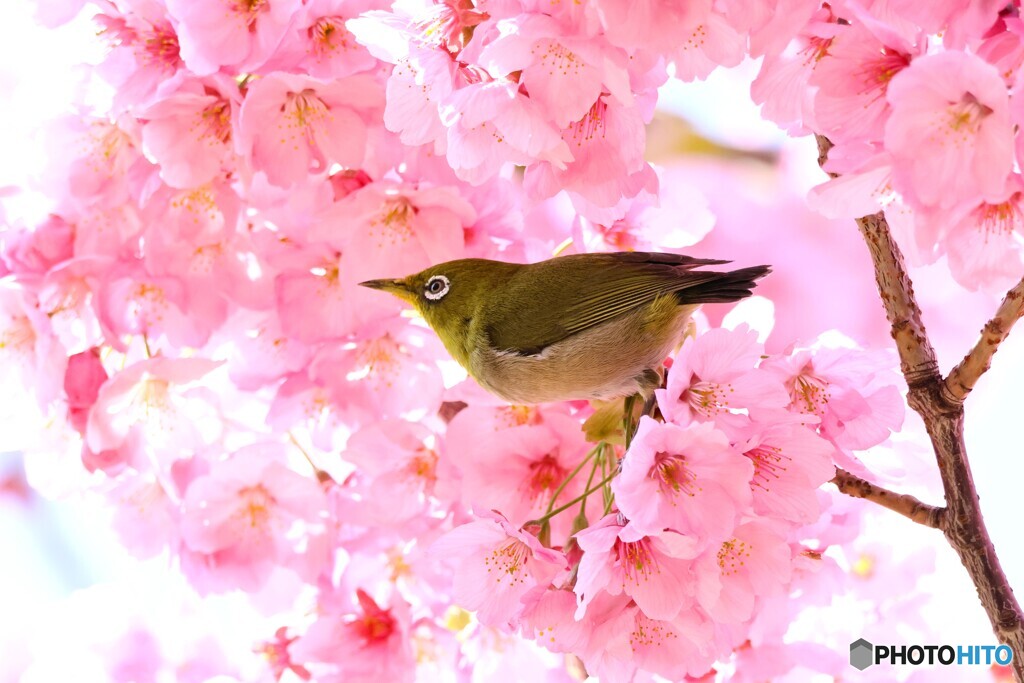 名残り惜しく