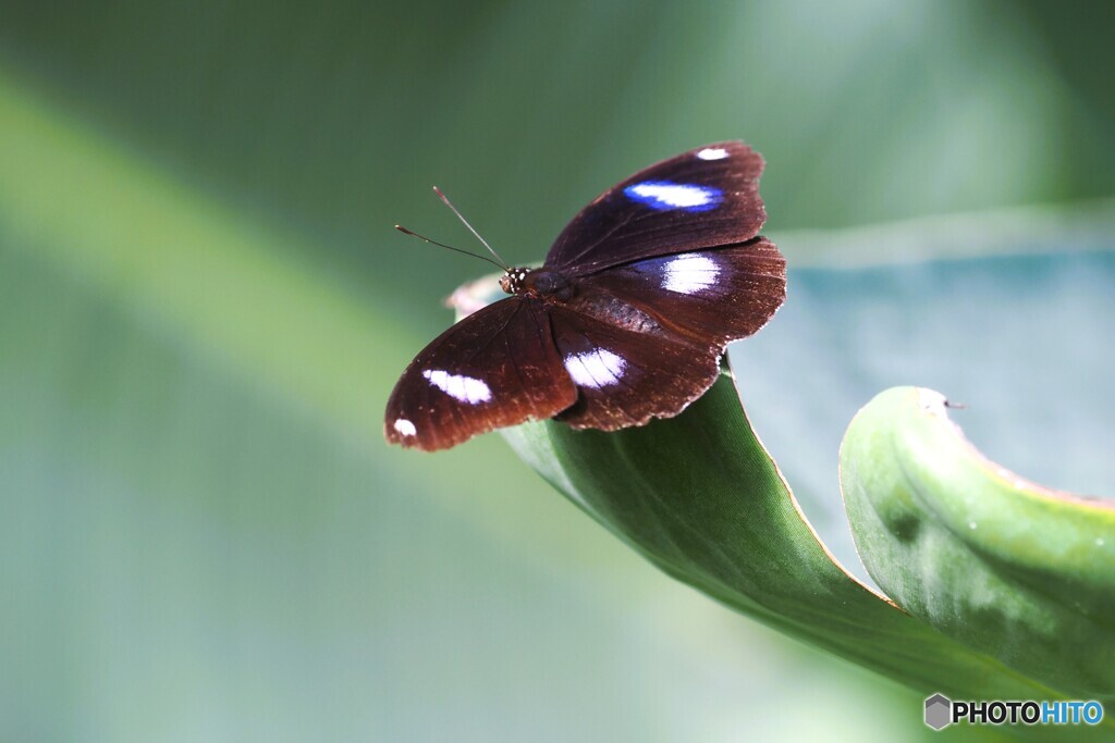 冬の生物園２０２５～ⅶ