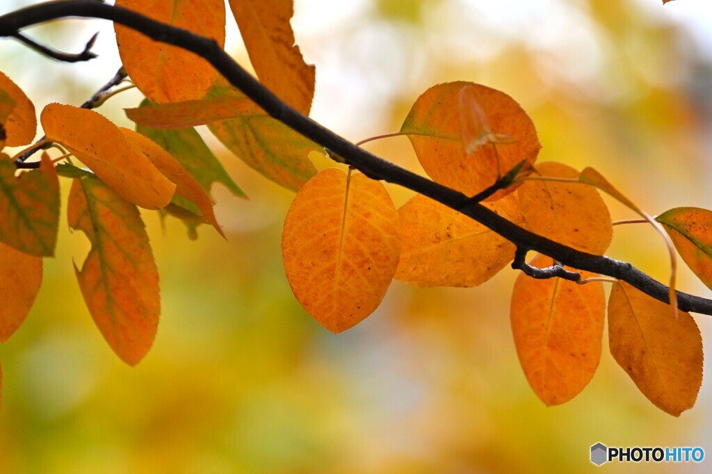 汐入せせらぎ広場