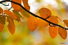 汐入せせらぎ広場