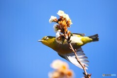 行くぞ～