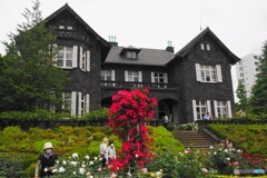 春薔薇の旧古河庭園～ⅴ