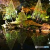 旧安田庭園～ⅱ