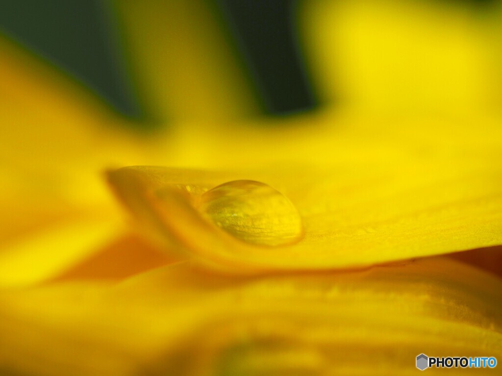 雫