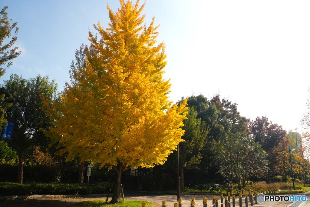 公園の入口