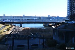 瑞光橋