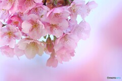快晴~ⅲ