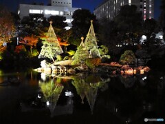 旧安田庭園～ⅶ