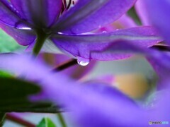 雨の日の策略～ⅲ