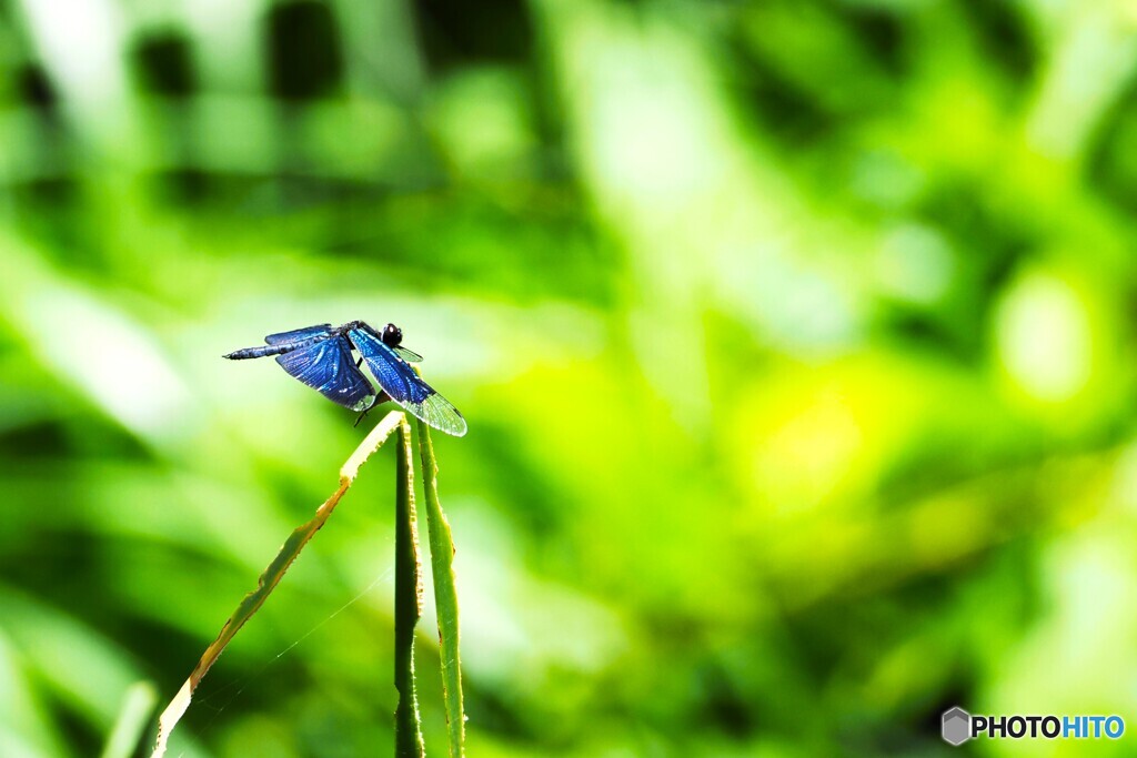 夏休み中の生物園～ⅳ