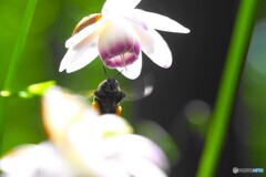 赤城自然園～⑤