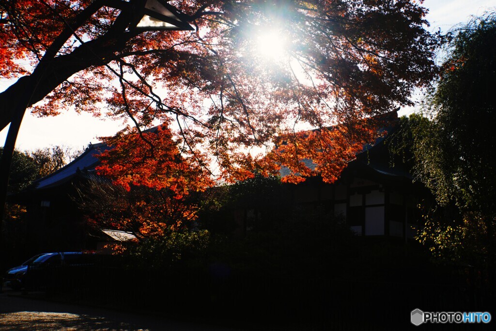 清水観音堂の紅葉