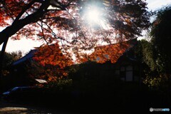 清水観音堂の紅葉