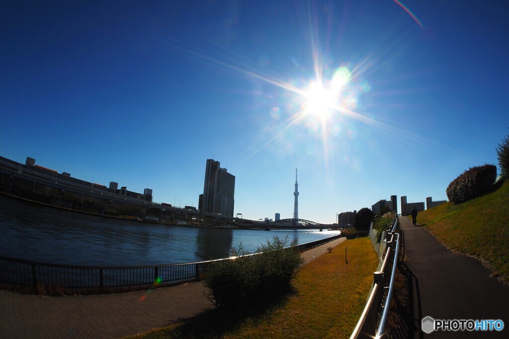 冬の墨田川