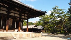 古都奈良～⑥