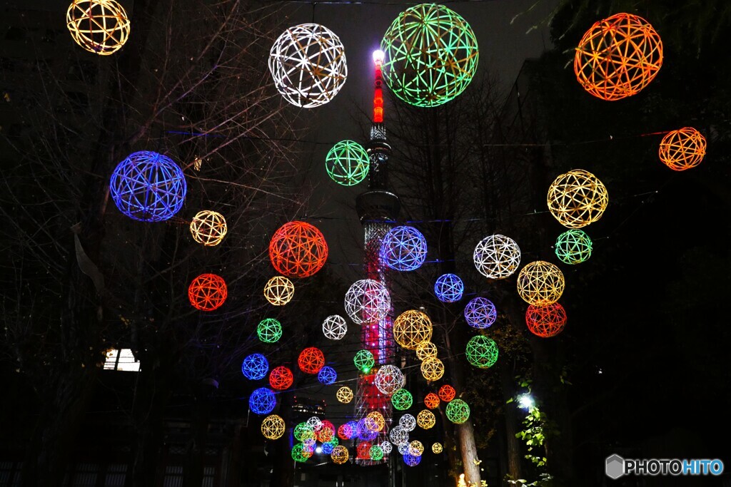 東京下町回遊竹あかり～ⅳ