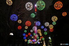 東京下町回遊竹あかり～ⅳ