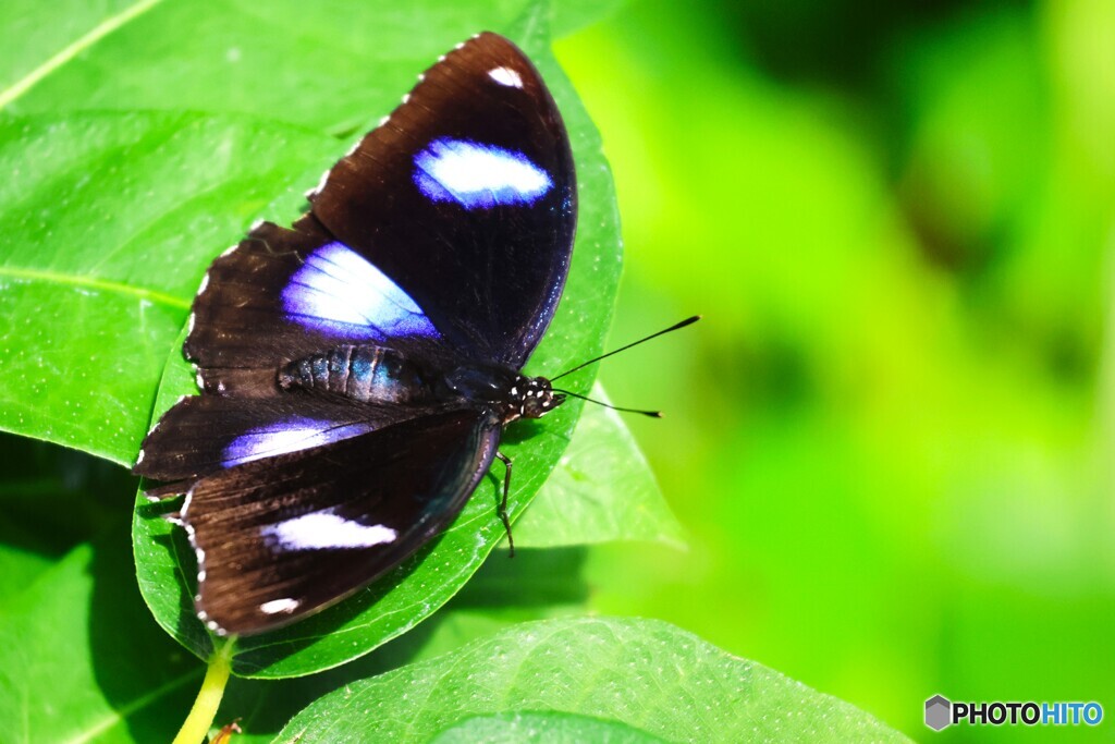 秋の生物園、佇み～ⅳ