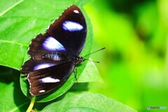秋の生物園、佇み～ⅳ