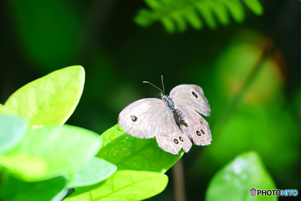 秋の生物園、佇み～ⅱ