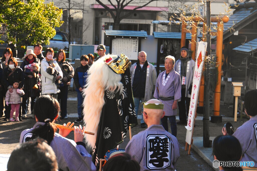奉納獅子舞～ⅱ